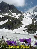 rocher blanc